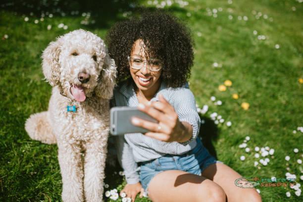 A Young Woman Takes Selfie With Pet Poodle Dog puppysimply A Young Woman Takes Selfie With Pet Poodle Dog puppysimply