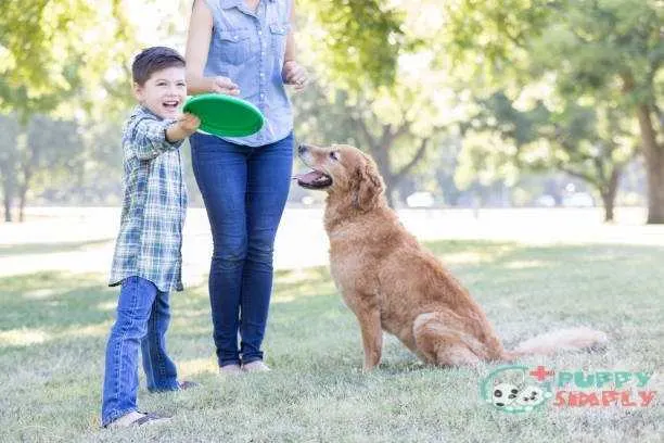 A boy and his dog play in the park together best frisbees for dogs