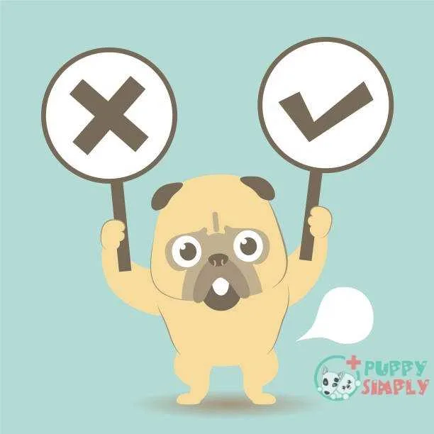 Dog standing on his own two feet and holding Right and Wrong Sign (true-false question; yes-no question) vector art