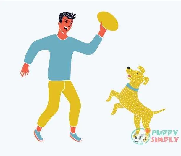 Illustration of a boy running with his pet dog vector art illustration Is A Frisbee The Right Toy For Your Dog?
