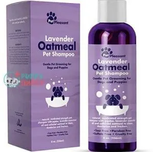 Soothing Oatmeal Shampoo for Dogs