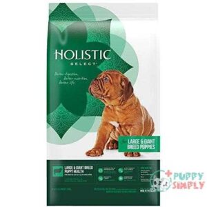 holistic select natural dry dog food large giant breed puppy lamb