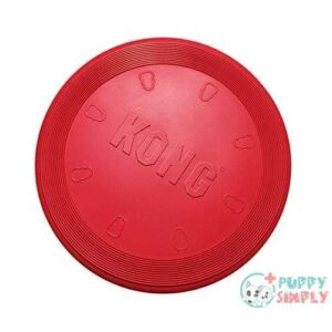 KONG Flyer - Durable Dog