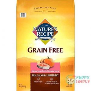 Nature’s Recipe Grain Free Salmon,