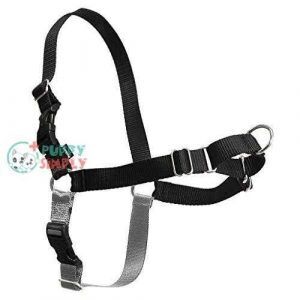 petsafe easy walk dog harness