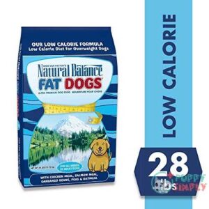 natural balance fat dogs low b00bvuexz6