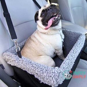 Devoted Doggy Deluxe Dog Car