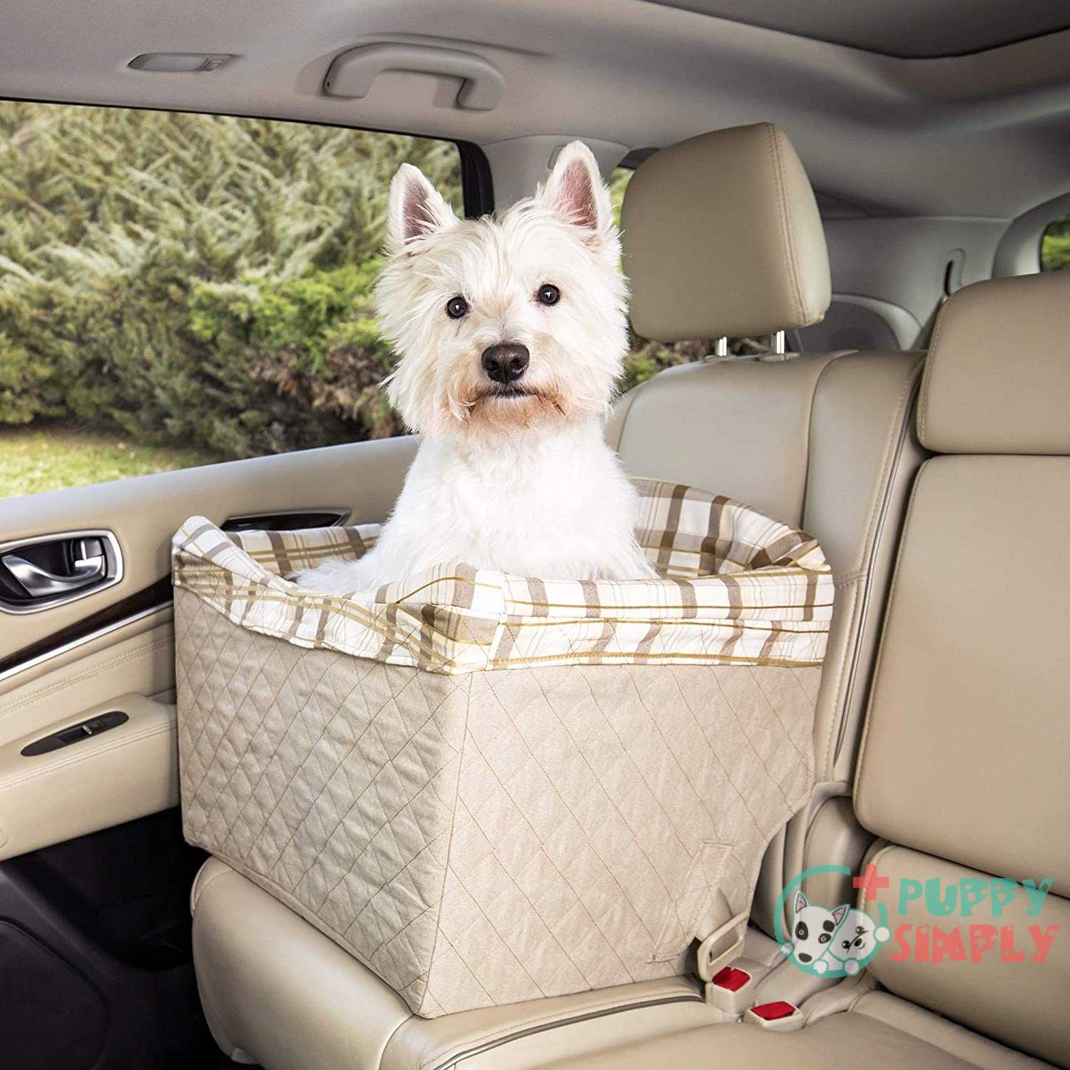 10 Best Dog Car Seats Keep Your Pup Safe Of 2023