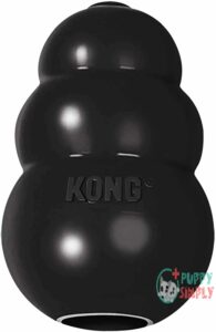 KONG - Extreme Dog Toy B0002AR0II