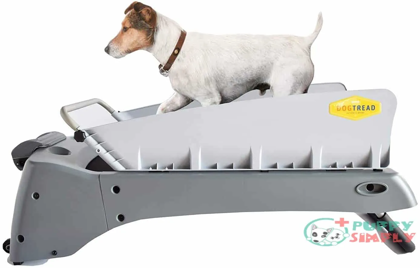 DogTread Premium Small Dog Treadmill B001M7U92Y