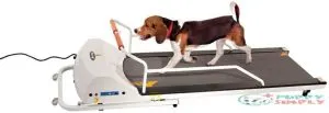 PetRun PR720F Dog Treadmill Indoor