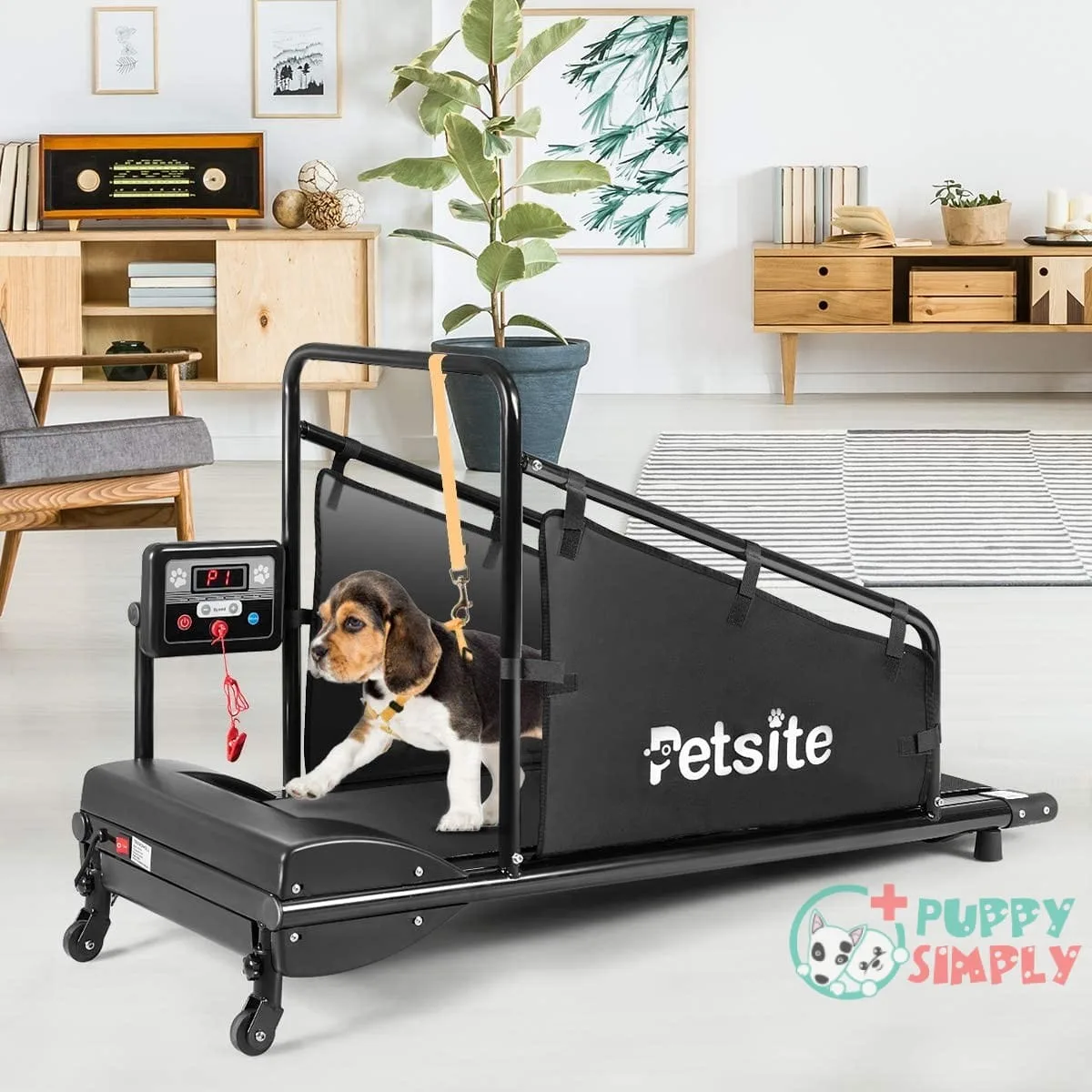 PETSITE Dog Treadmill, Pet Dog
