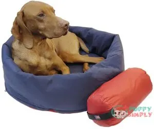 2-in-1 Dog Bed and Sleeping