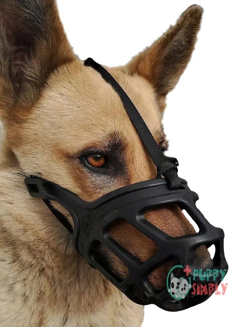 Mayerzon Dog Muzzle, Breathable Basket