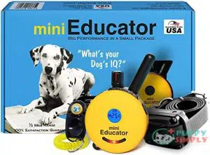 E-Collar - ET-300 - 1/2 B01CRLQBXO