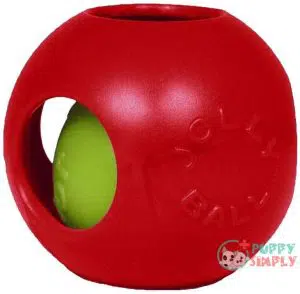 Jolly Pets Teaser Ball Dog