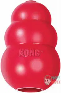 KONG - Extreme Dog Toy B0002AR0I8