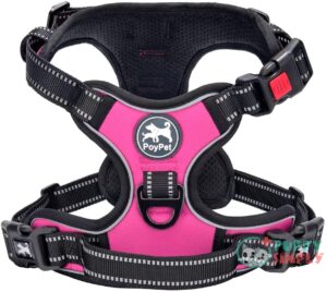 PoyPet No Pull Dog Harness, B0792XS9B1