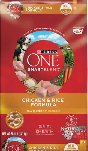 Purina ONE Natural SmartBlend Chicken
