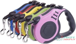 Retractable Dog Leash, Pet Walking B08LMTJQC2