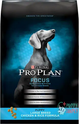 Purina Pro Plan Large Breed