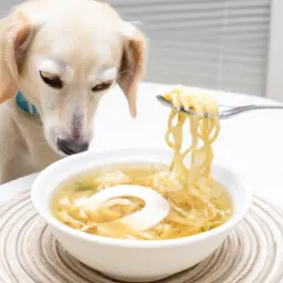 Risks of Feeding Chicken Noodle Soup to Dogs