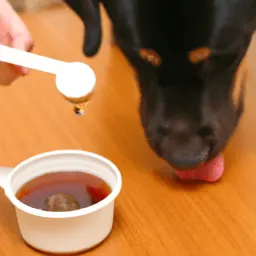 The Benefits of Molasses for Dogs