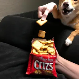 can dogs eat cheez its