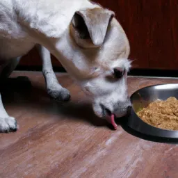 Can Dogs Eat Grits as Part of Their Diet?