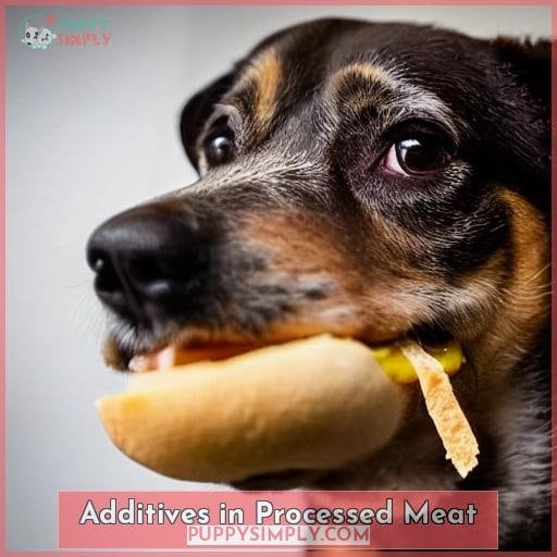 Additives in Processed Meat