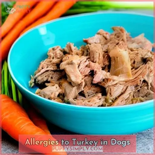 Allergies to Turkey in Dogs