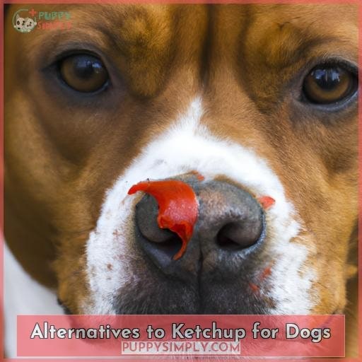Alternatives to Ketchup for Dogs