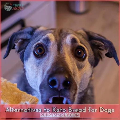 Alternatives to Keto Bread for Dogs