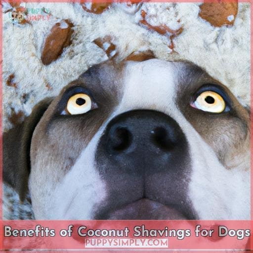Benefits of Coconut Shavings for Dogs Benefits of Coconut Shavings for Dogs