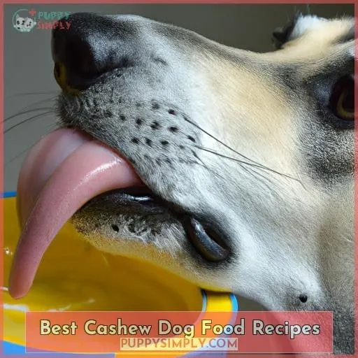 Best Cashew Dog Food Recipes