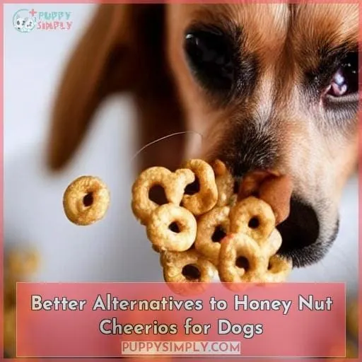 Better Alternatives to Honey Nut Cheerios for Dogs