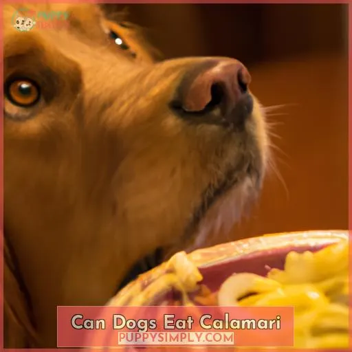 can dogs eat calamari
