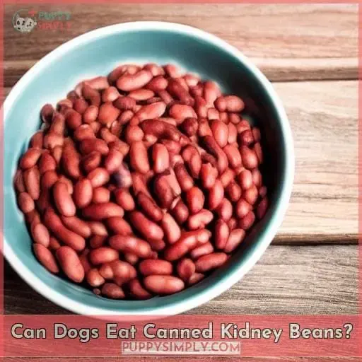 Can Dogs Eat Canned Kidney Beans?