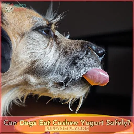 Can Dogs Eat Cashew Yogurt Safely?
