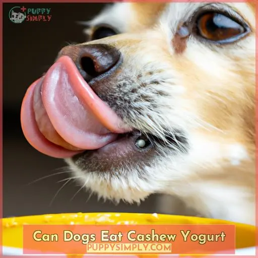can dogs eat cashew yogurt