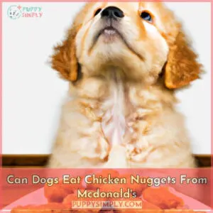 can dogs eat chicken nuggets from mcdonald's