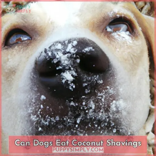 can dogs eat coconut shavings