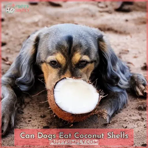 Can Dogs Eat Coconut Shells?