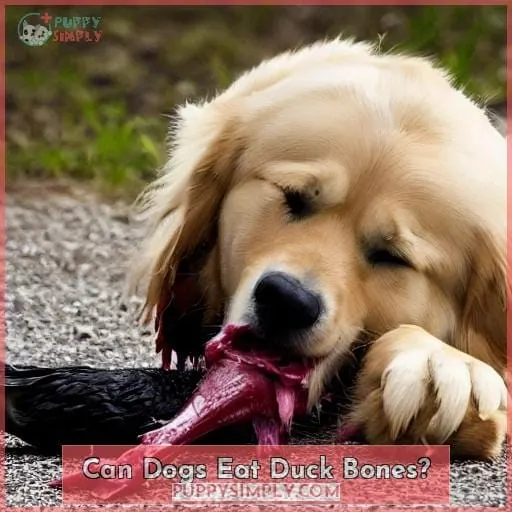 Can Dogs Eat Duck Bones?