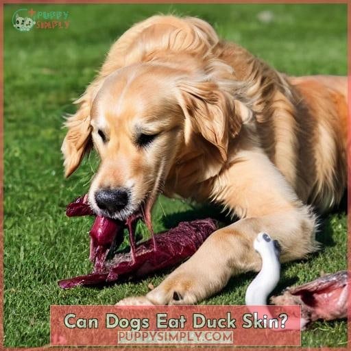 Can Dogs Eat Duck Skin?