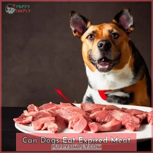 can dogs eat expired meat