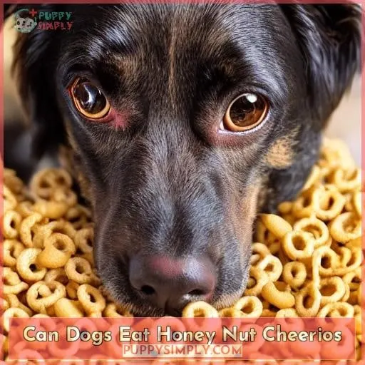can dogs eat honey nut cheerios