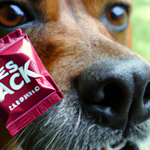 Can Dogs Eat Jack Link's Beef Jerky? An InDepth Look at the Risks and
