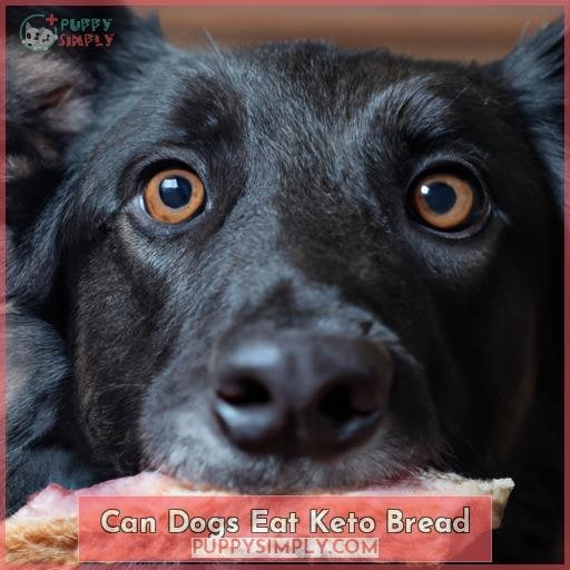 Can Dogs Eat Keto Bread? Learn the Risks & Alternatives!