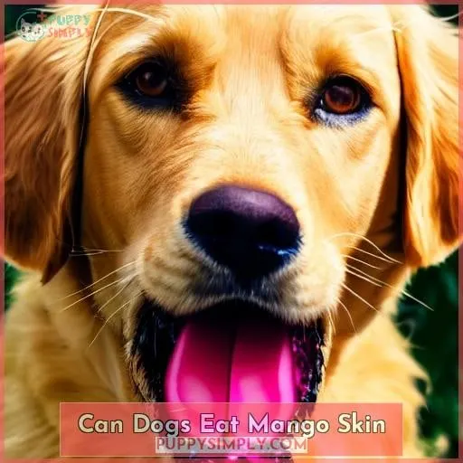 can dogs eat mango skin